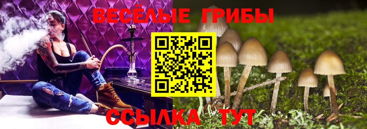 Галлюциногенные грибы мухоморы Асбест
